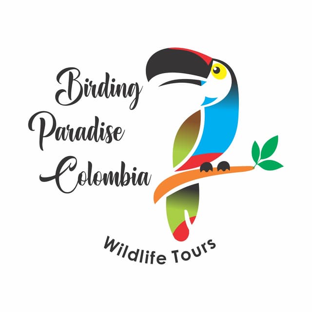 Birding Paradise Colombia