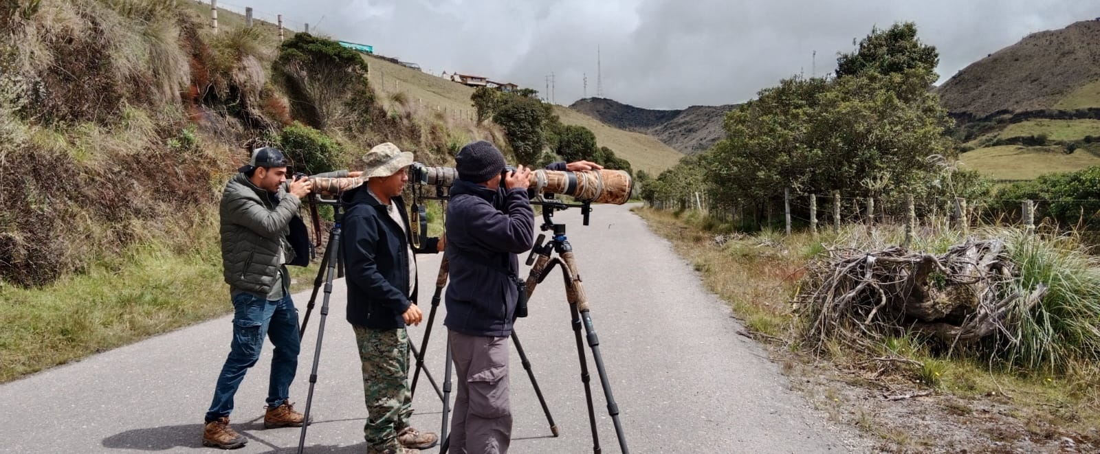 Birding Paradise Colombia