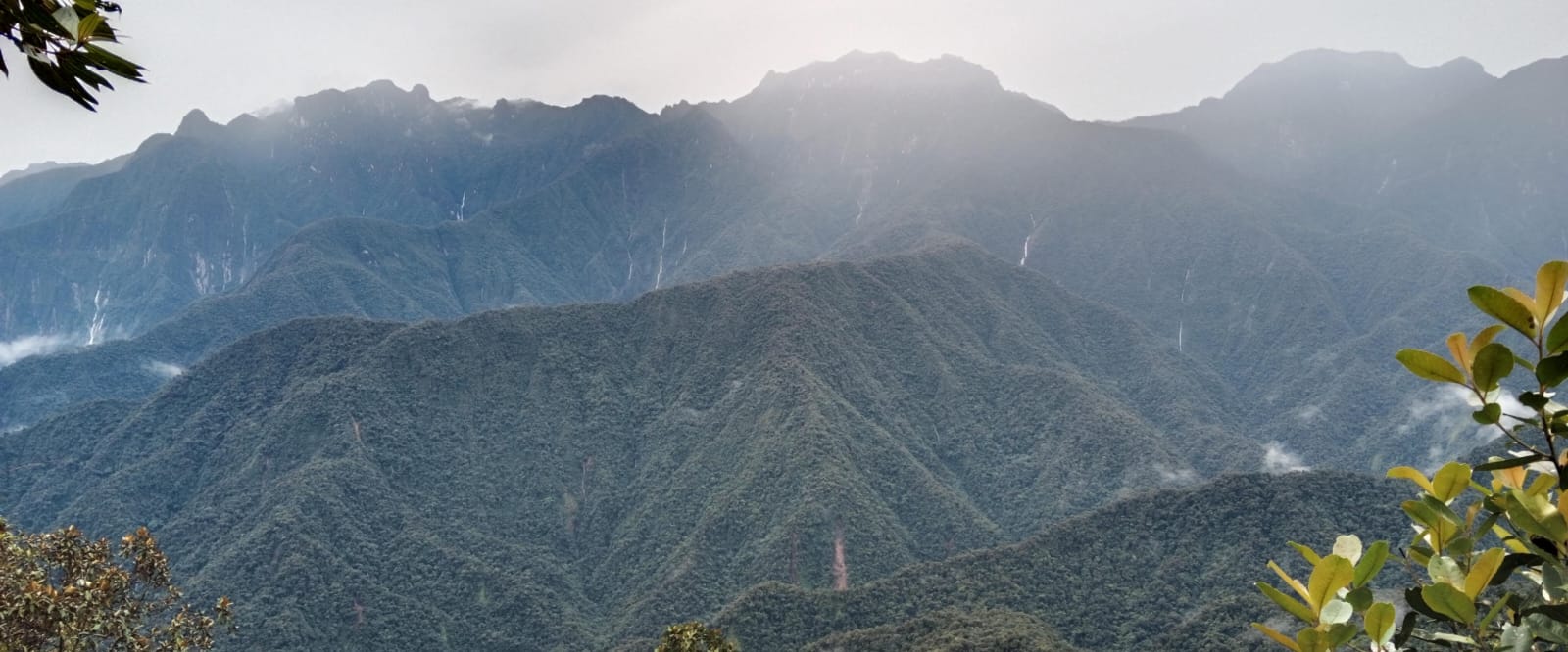 Birding Paradise Colombia