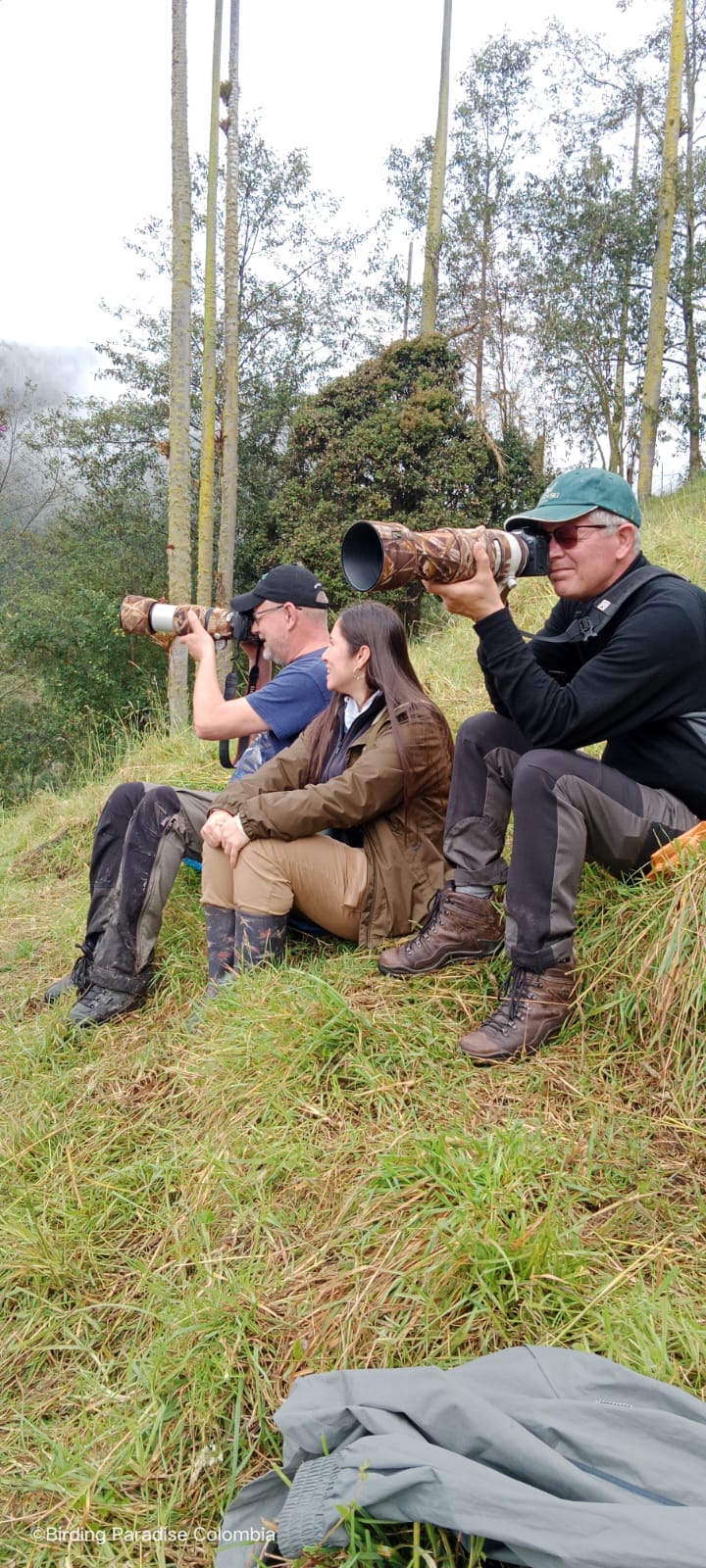 Birding Paradise Colombia